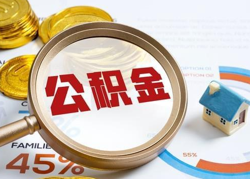 可克达拉2025年政策调整对个人影响综合解析‌